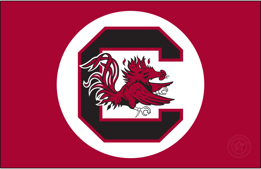 South Carolina Gamecocks 1983-1998 Secondary Logo diy iron on heat transfer